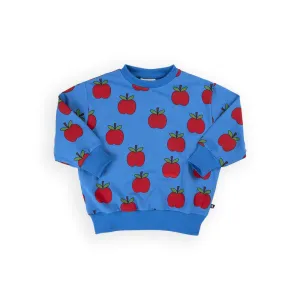 Apple Sweater - 1 Left Size 12-14 years