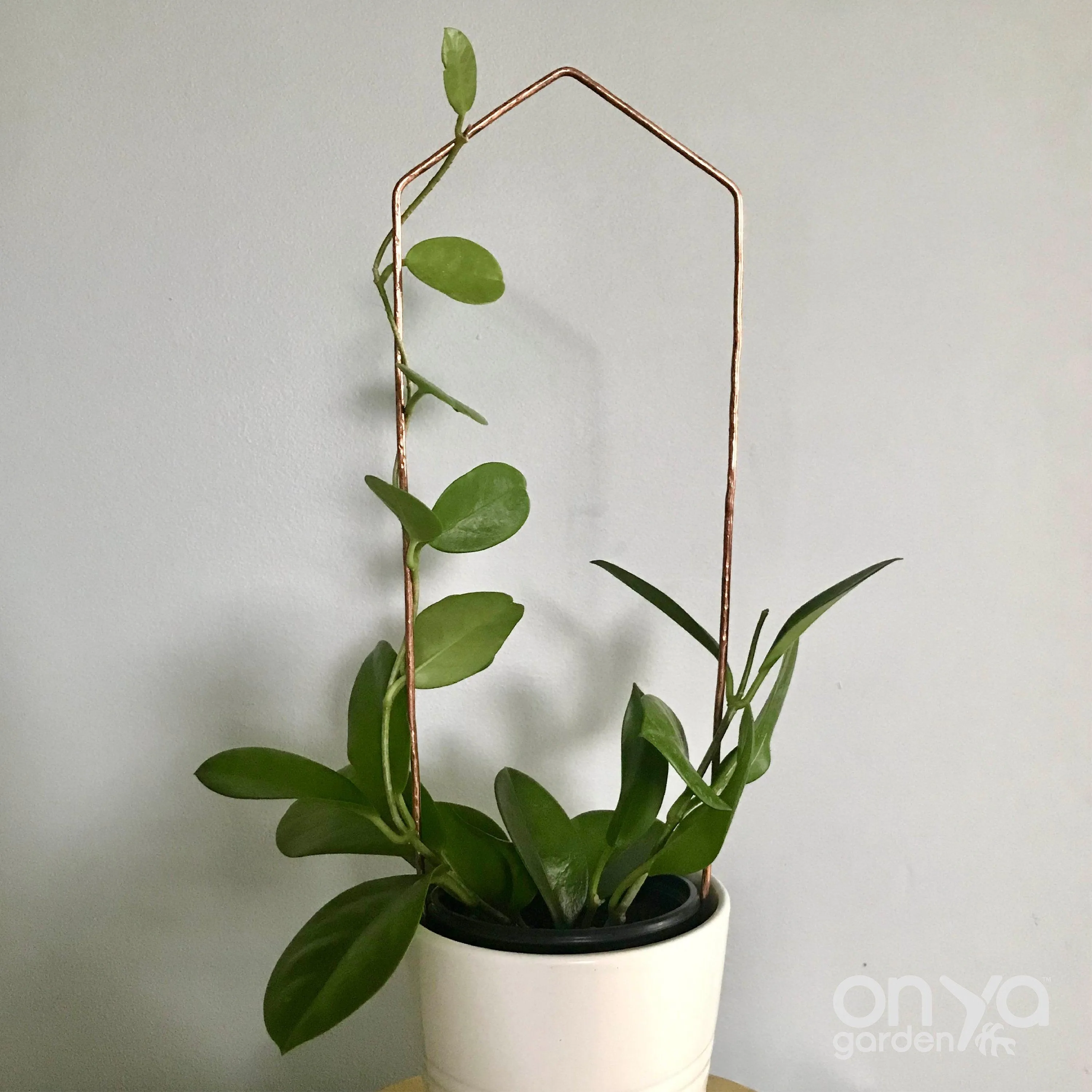 Copper Pointed Arch Trellis for House Plants, 4 Sizes Available