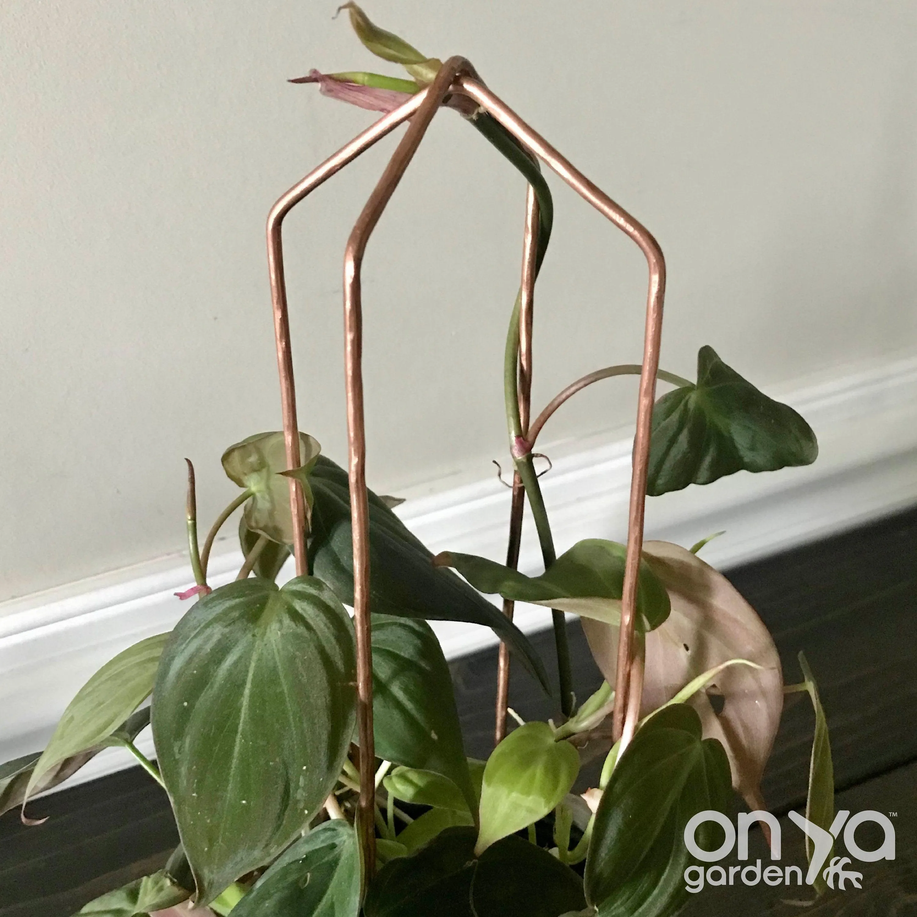 Copper Pointed Arch Trellis for House Plants, 4 Sizes Available