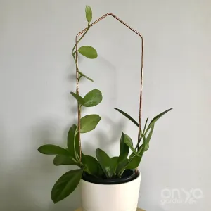 Copper Pointed Arch Trellis for House Plants, 4 Sizes Available