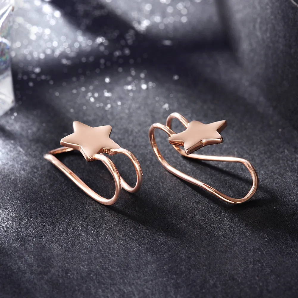 Five pointed star earrings-SSE111