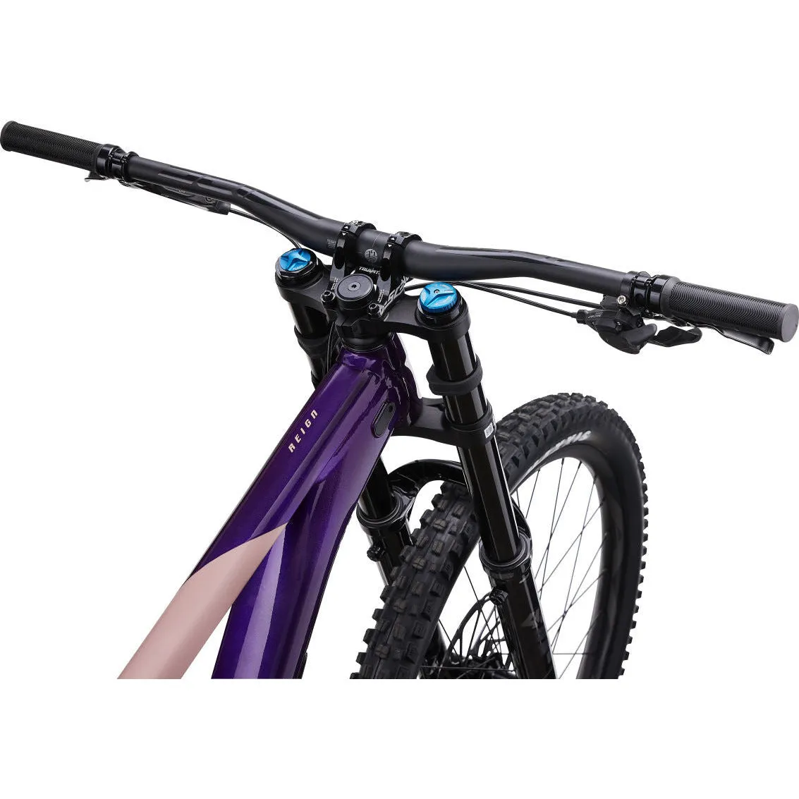 Giant Reign SX 29