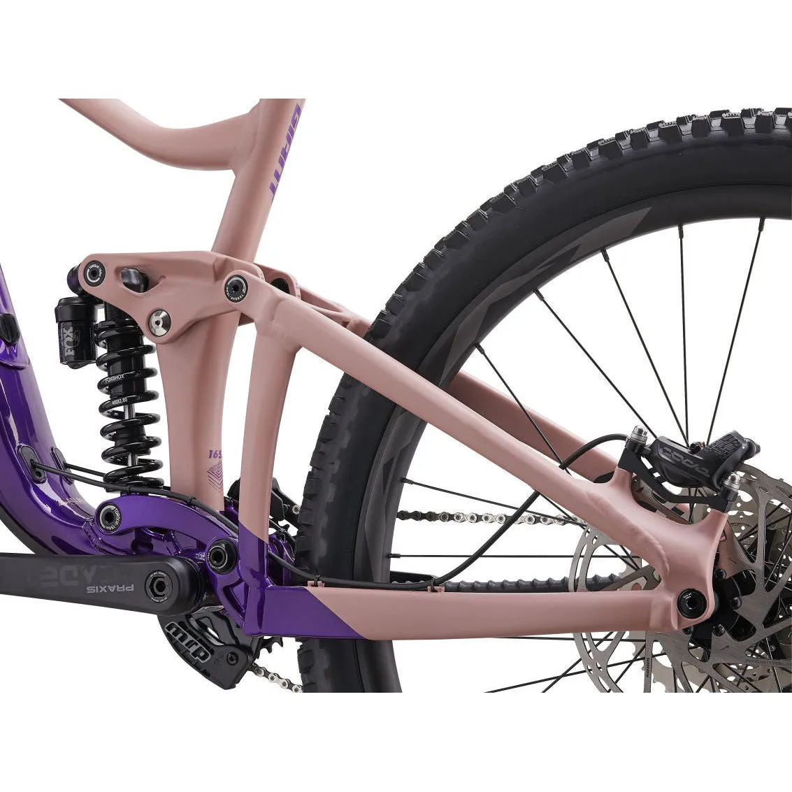 Giant Reign SX 29