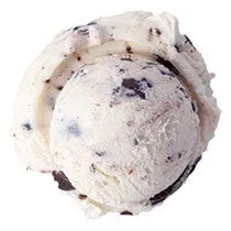 Graeter's Coconut Chocolate Chip (Pint)