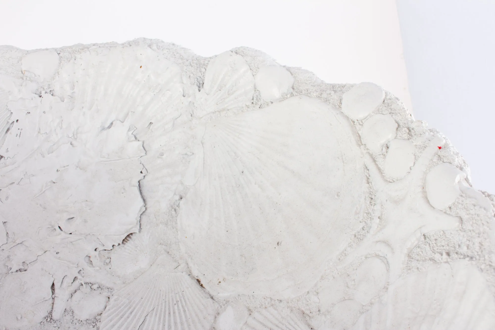 Handmade Vintage Footed Seashell Bowl