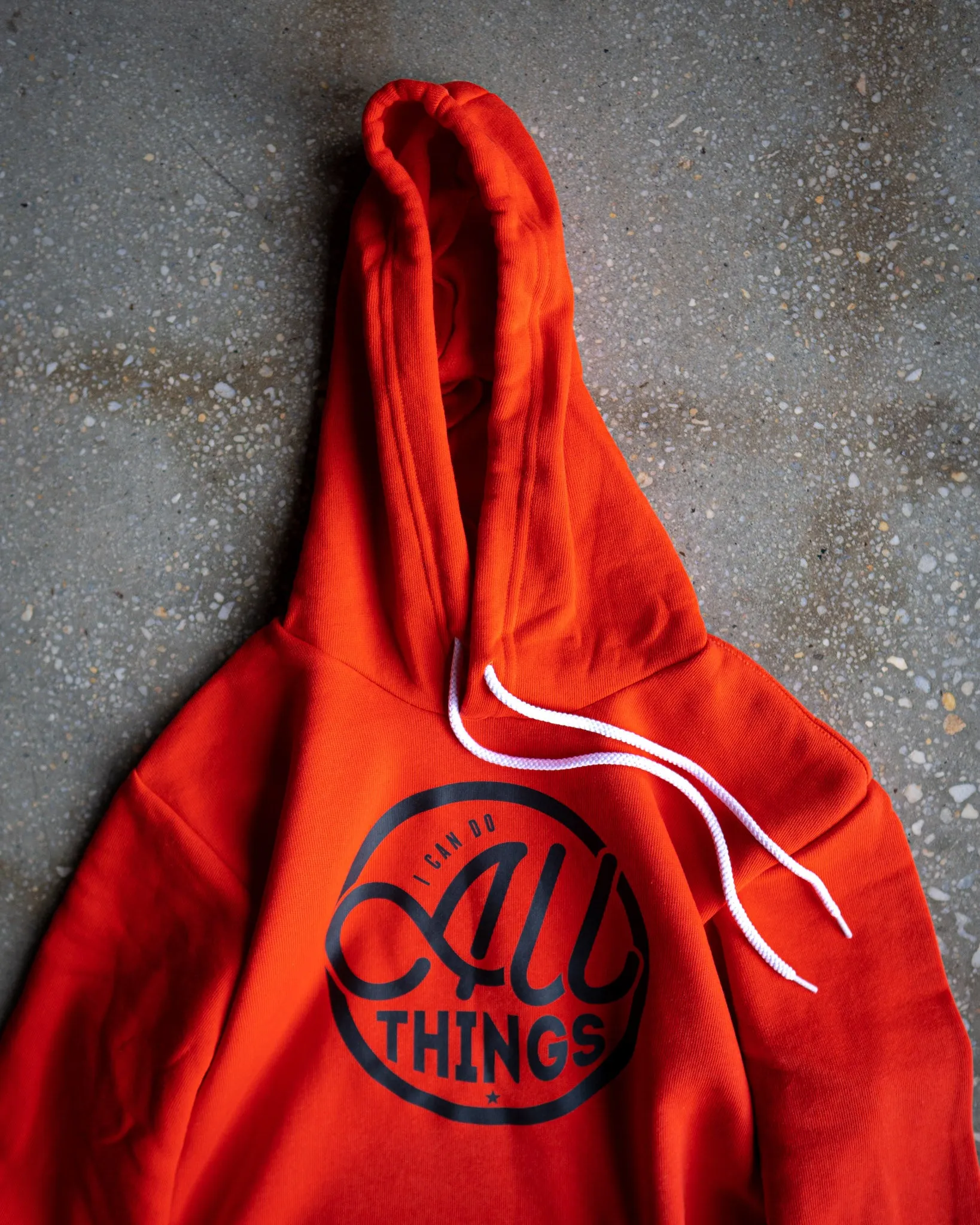 I Can Do All Things Adult Sponge Fleece Hoodie