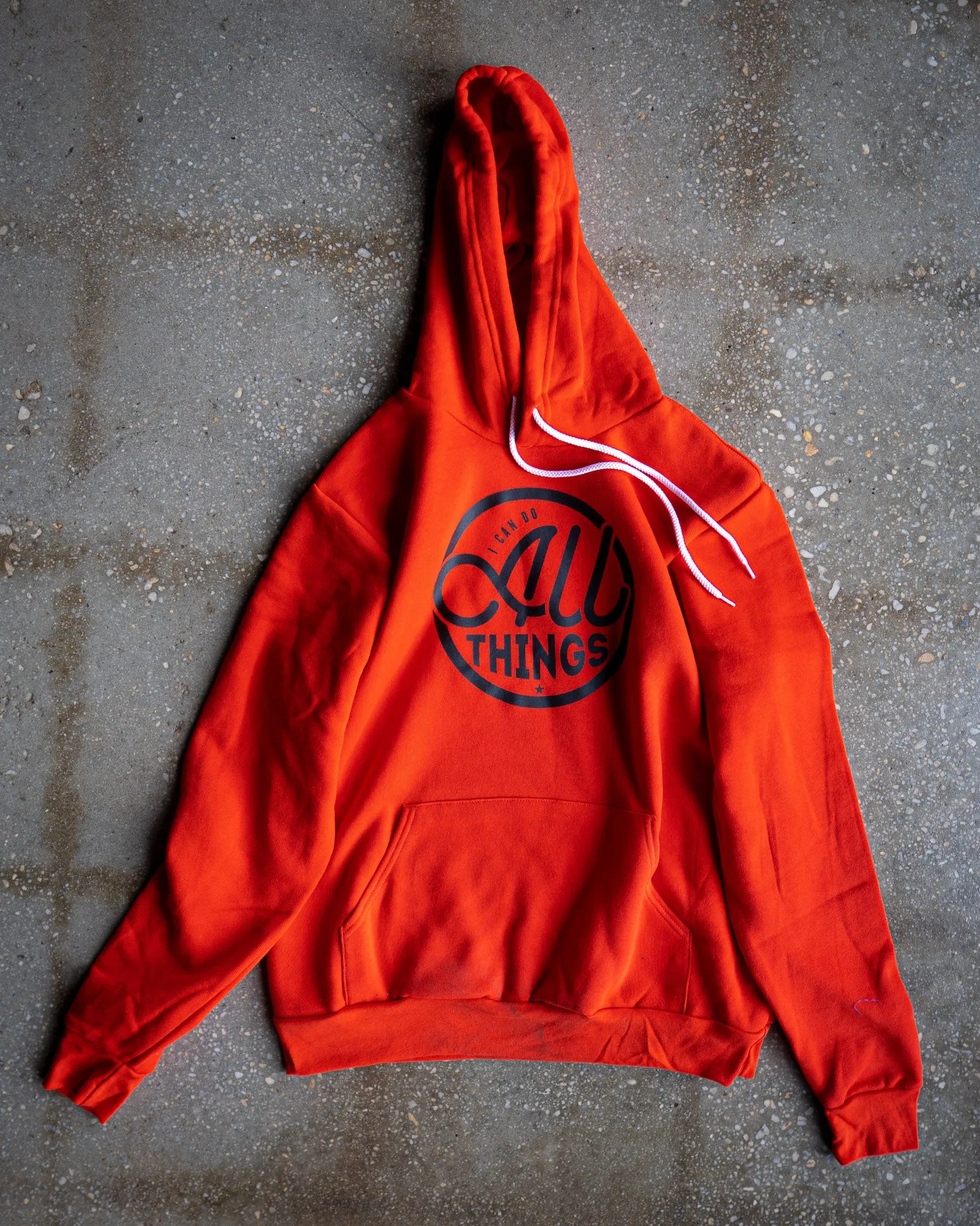 I Can Do All Things Adult Sponge Fleece Hoodie