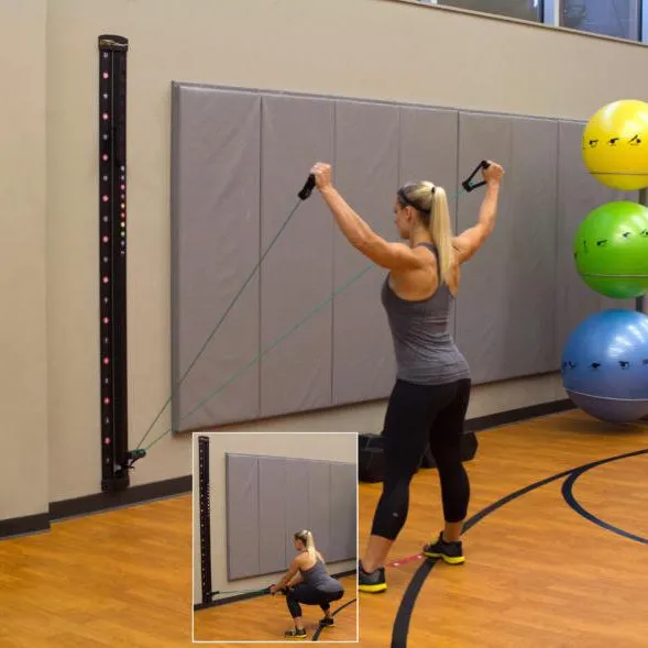 Prism Fitness Smart Resistance Wall Gym