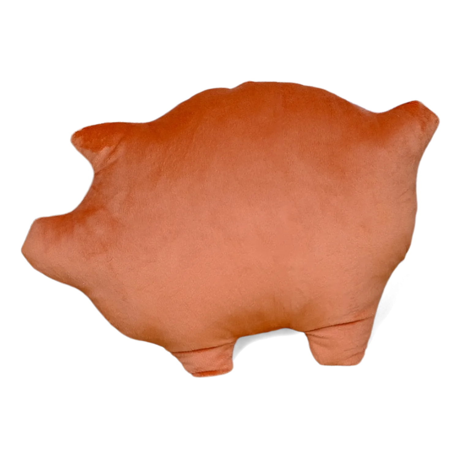 Puerquito Pillow