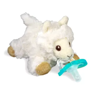 Raz-Buddy Paci Holder