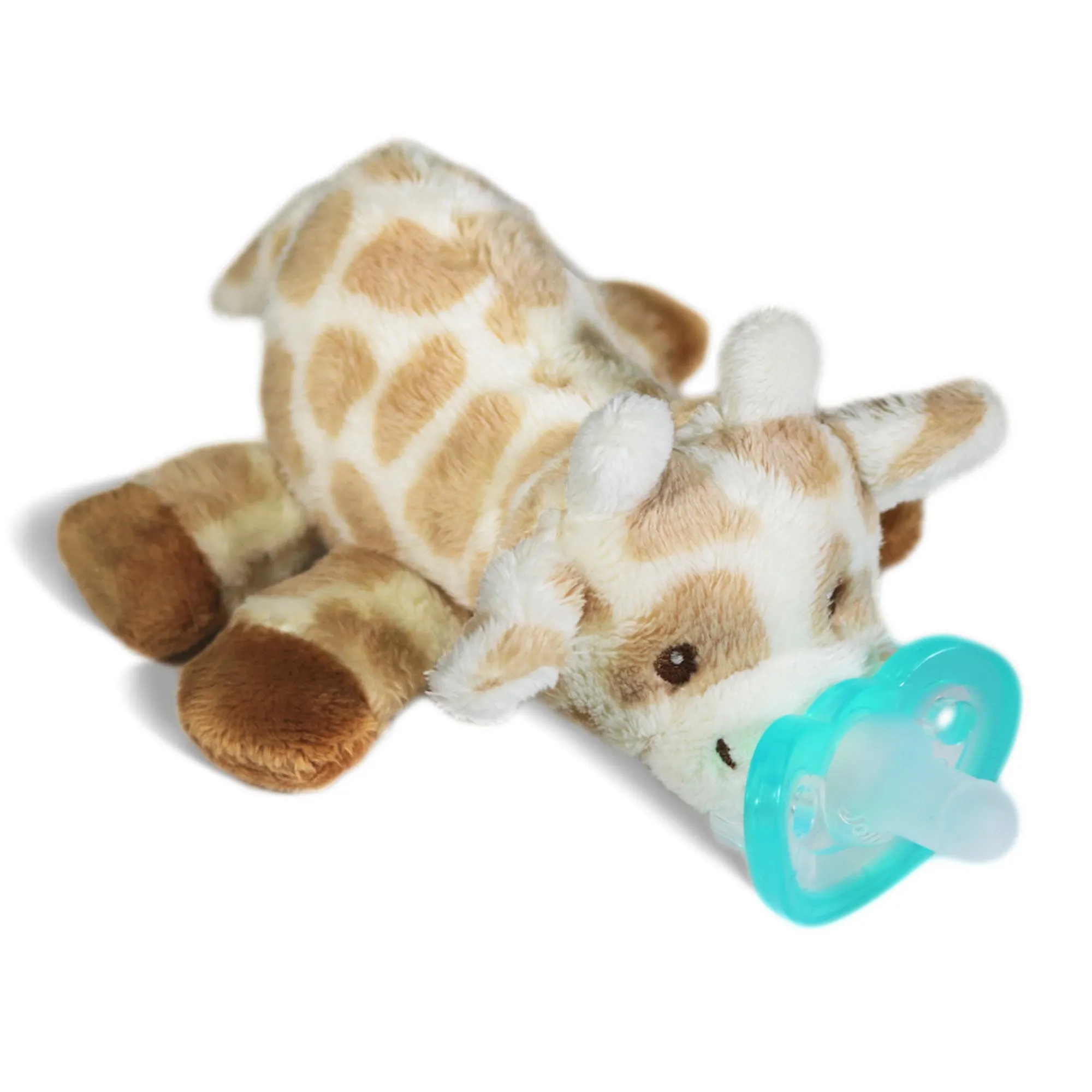 Raz-Buddy Paci Holder