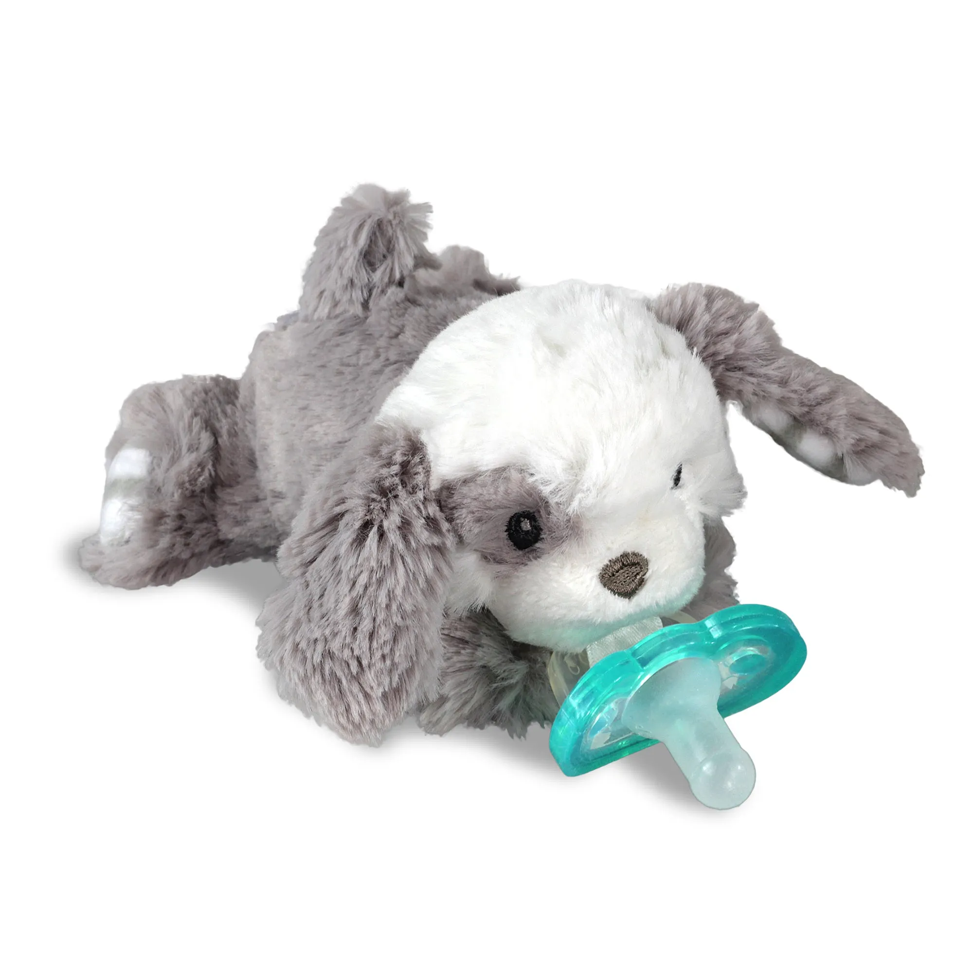 Raz-Buddy Paci Holder