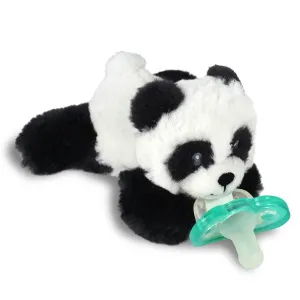 Raz-Buddy Paci Holder