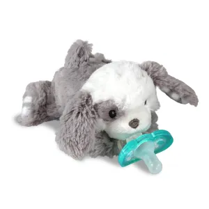 Raz-Buddy Paci Holder