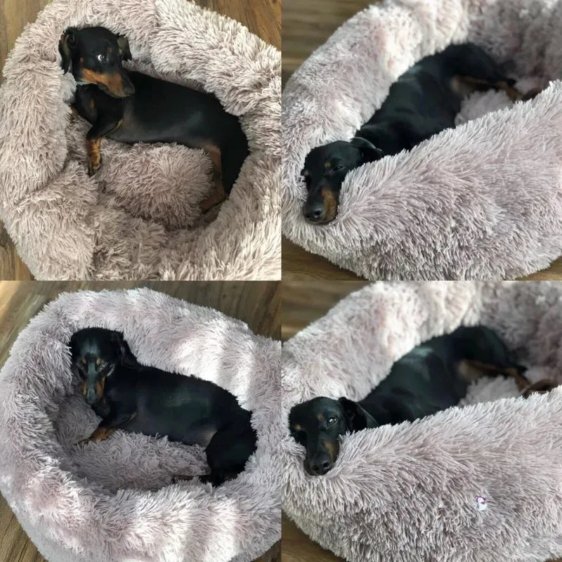 Round  Plush Winter Bed