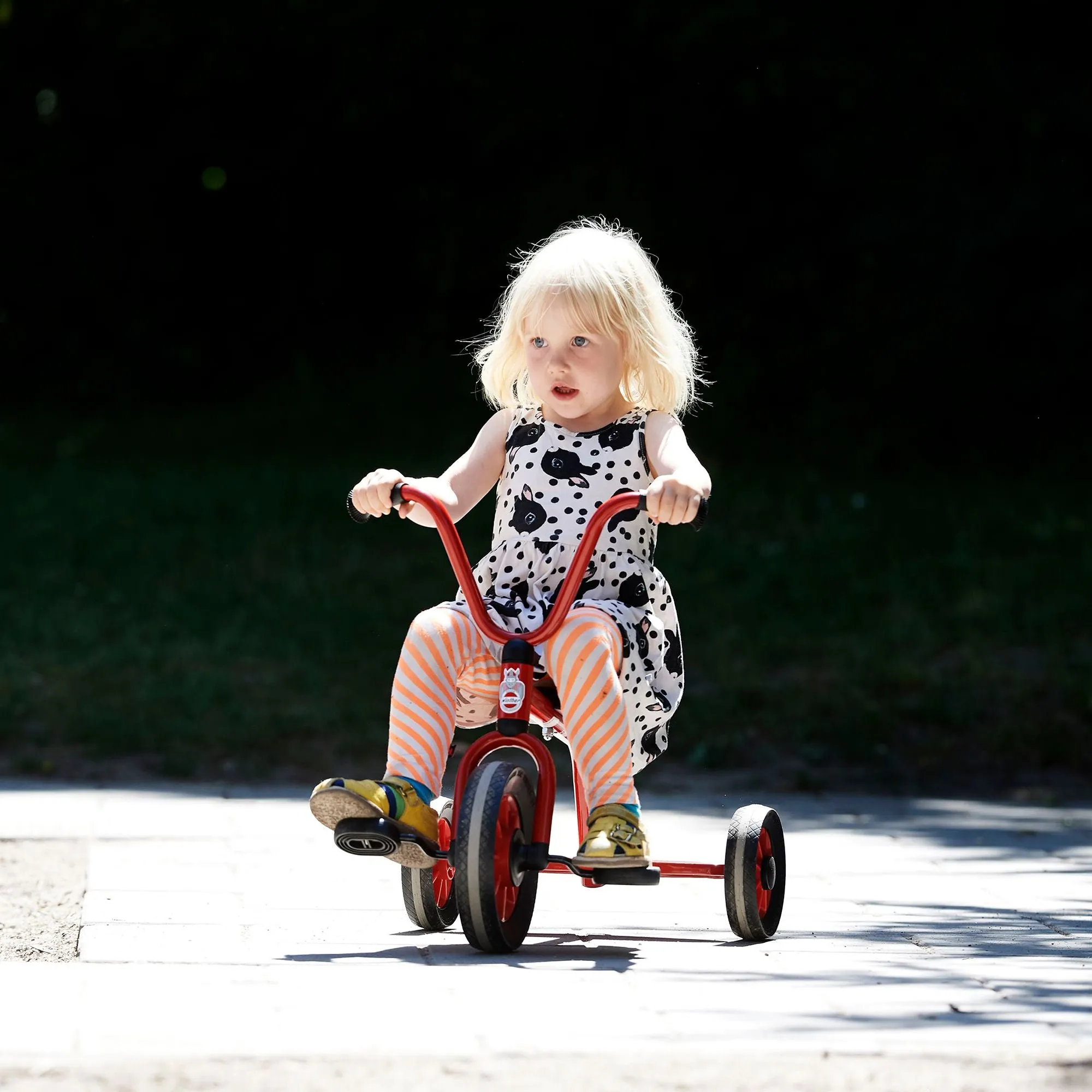 Tricycle with Plate