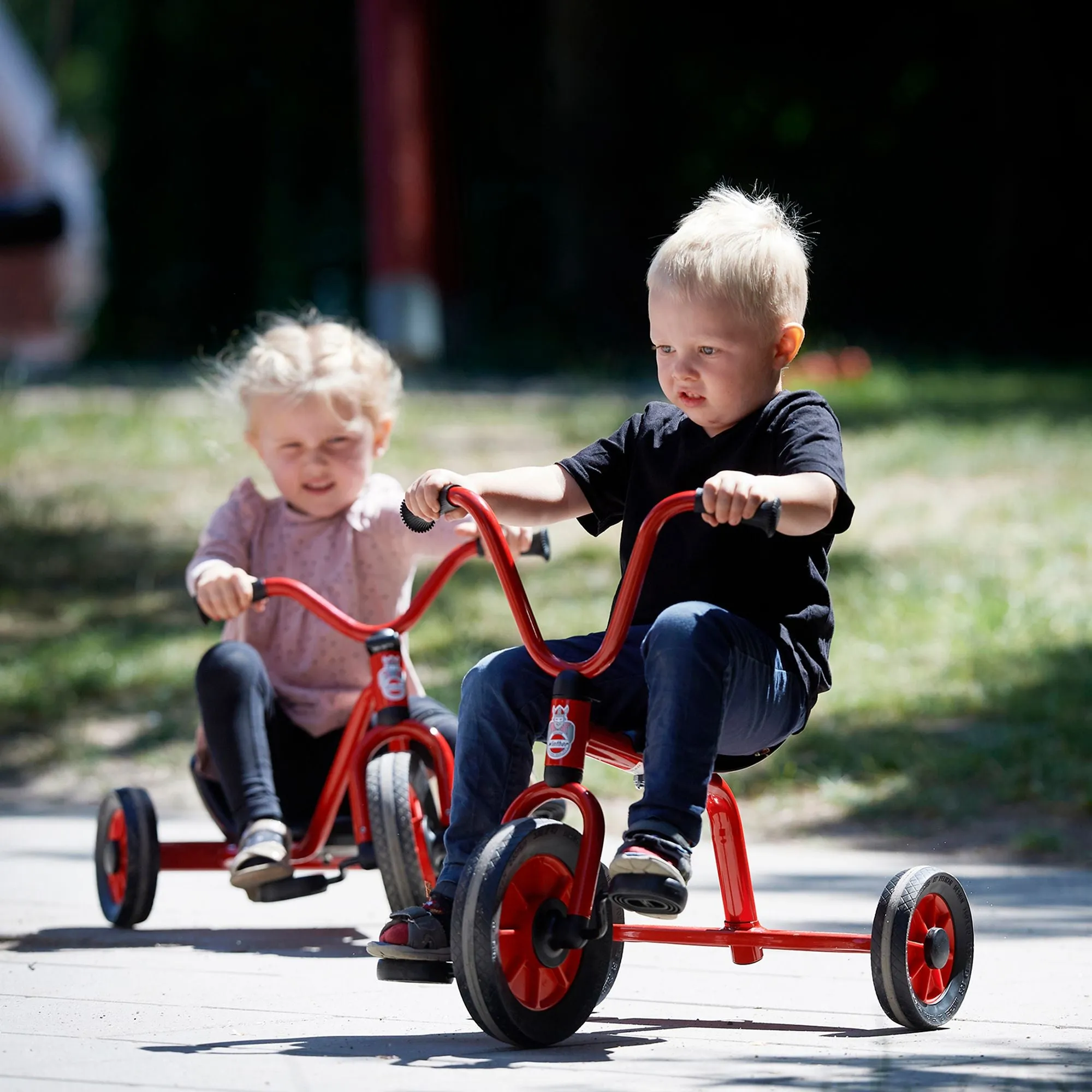 Tricycle with Plate