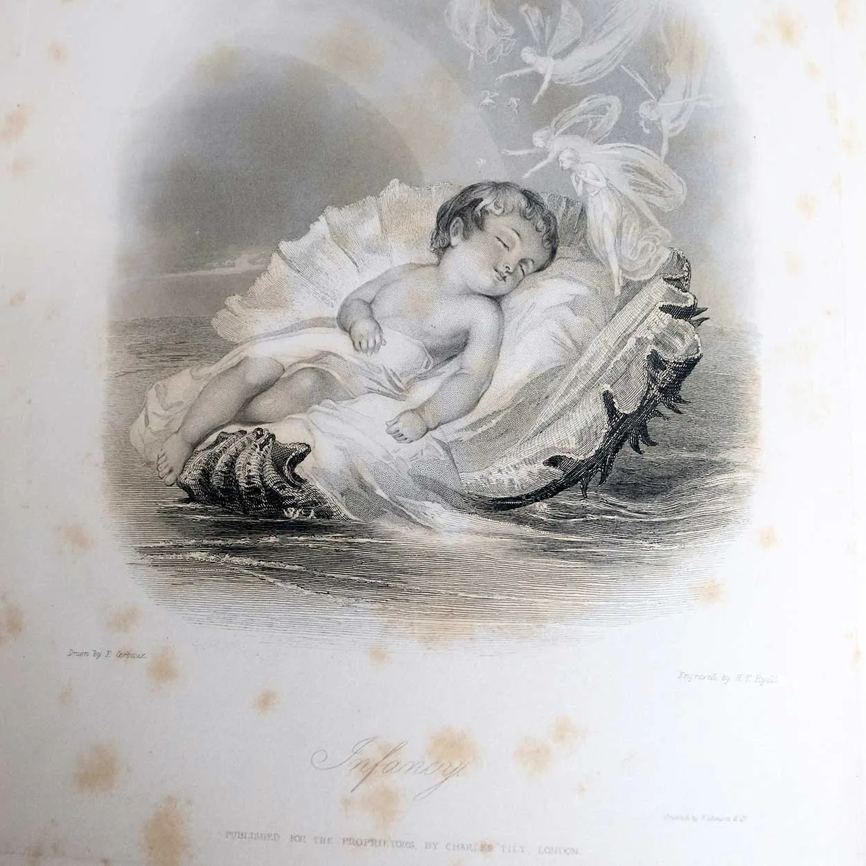 Victorian Book: The Ages of Female Beauty by Frederic Montagu