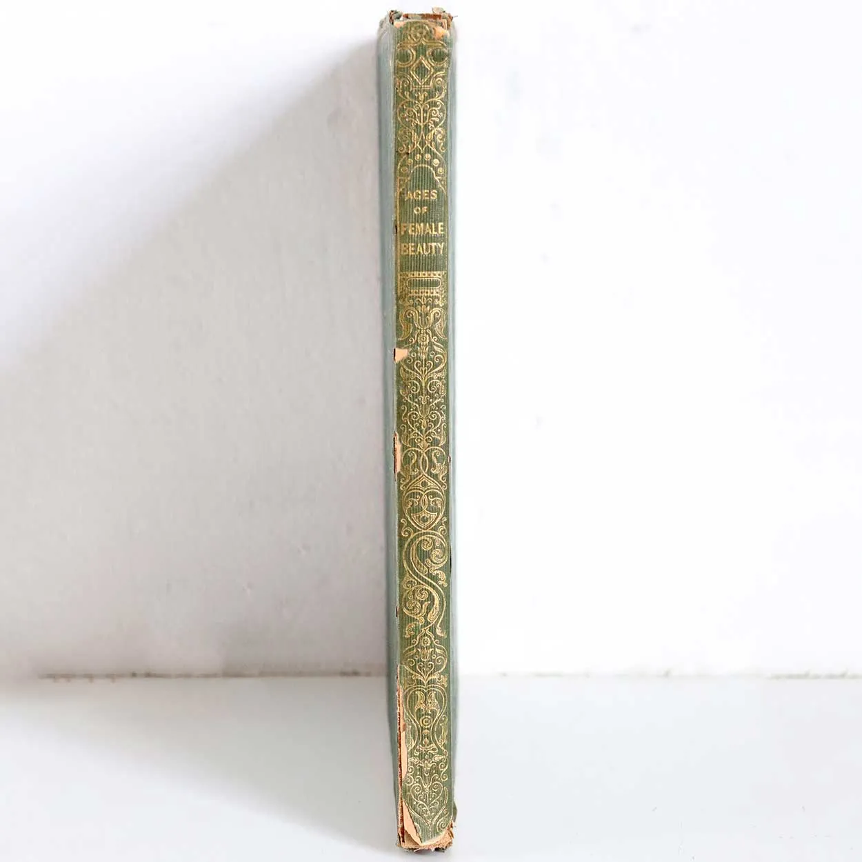 Victorian Book: The Ages of Female Beauty by Frederic Montagu